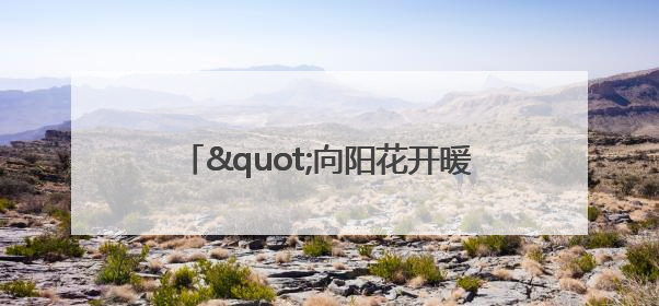 "向阳花开暖童心"——襄阳市开展爱心妈妈结对关爱留守困境儿童庆"六一"活动